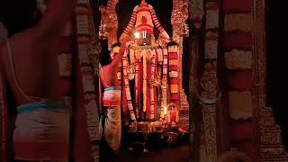 Venkateswara Swamy Stotram [upl. by Reld]