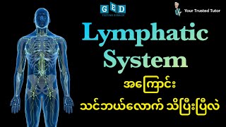 What is Lymphatic System Explained Clearly for GED Life Science [upl. by Harbird746]