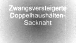 Zwangsversteigerte Doppelhaushälften  Leck mir die sacknaht [upl. by Aiceila]