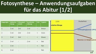 Fotosynthese  Anwendungsaufgaben für Klausuren das Abitur 12  Biologie Oberstufe [upl. by Elynad523]