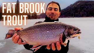 How to Catch Brook Trout Ice fishing [upl. by Tigdirb]