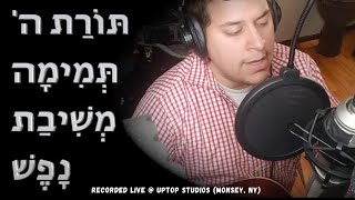 Hillel Kapnick  Toras Hashem  Moshe Emes  הלל קאפניק  תורת ה׳  משה אמת [upl. by Anahsak]