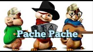 Pache Pache  Alvin y Las Ardillas Cumbia 2024 [upl. by Latsyrd]