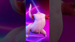 Twurkey is never under cover It will always dance for you youtubeshorts dance twurkey [upl. by Don877]