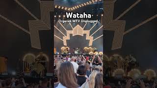 Organek  Wataha MTV Unplugged [upl. by Eiggep913]