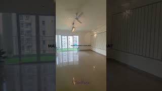 5bhk flat for sale MAPSKO ROYALE VILLE GURGAON property realestate [upl. by Shurlock905]