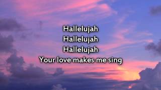 Hallelujah Your love is Amazing  Instrumental with lyrics [upl. by Ahsimed584]