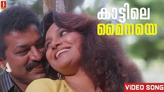 Kattile Mainaye Video Song  Akashadoothu  Murali  Madhavi  Seena Antony  Ben  Martin  Joseph [upl. by Osnofedli]