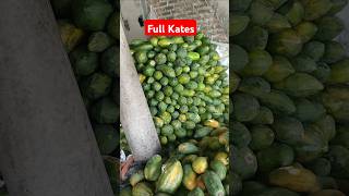 Ready Kates Melon Semongko shortvideo buahnya streetfood buah [upl. by Sheldon]