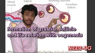 ovarain follicle development Human Reproduction live lec 9 by Dr Akash Singh [upl. by Llemej]