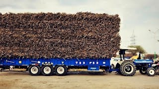 Extrem Heavy load ਗੱਨਾ pull  New Holland 3630  Medium ਵਾਲਾ ਜਹਾਜ  Tractoran ਦਾ ਰਾਜਾ 3630 [upl. by Leonhard]