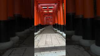 FUSHIMI INARI TAISHA 伏見稲荷大社 [upl. by Suirrad]