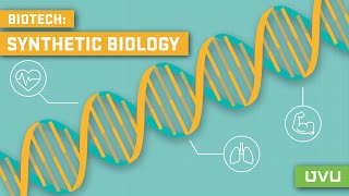 Synthetic Biology Explained in Under 2 Minutes [upl. by Nefets223]