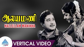 Kallellam Manikka Vertical Video Song  Aalayamani Movie Songs  Sivaji Ganesan  Saroja Devi [upl. by Morocco]