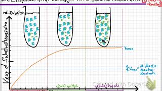 Abhängigikeit der Enzymaktivität von der Substratkonzentration [upl. by Odranoel345]