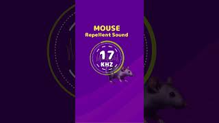 Mouse amp Rat Repellent Noise Highfrequency sounds [upl. by Ynnattirb38]