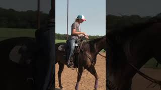 Barrel Racing Futurity Horse Training Timeline from Ashley Schafer [upl. by Idzik]