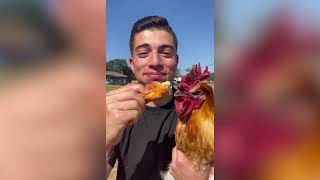 Eat A Chicken In Front Of A Chicken 🐔 [upl. by Deloris]