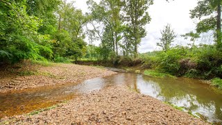 6845 Acres  Waterfront on Beautiful Eagle Creek  690 Pauline Rd Holladay TN 38341 [upl. by Imled123]