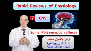 Physiology ReviewsSpinal Polysynaptic reflexes [upl. by Fanechka]