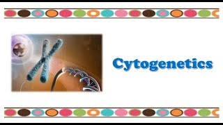 Molecular Biology 🔤  Cytogenetics [upl. by Trebleda994]