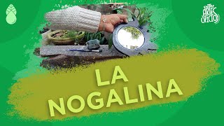 La Nogalina [upl. by Bennett204]