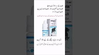 lidosporin ear drops  lidosporin ear drops uses in urdu lidosporineardrops​ earpainrelief​ [upl. by Aneroc]