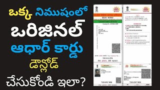 aadhaar download pdf  my aadhar card download pdf  download aadhar card pdf [upl. by Vidovik]