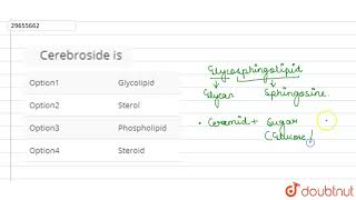 Cerebroside is [upl. by Greenleaf]