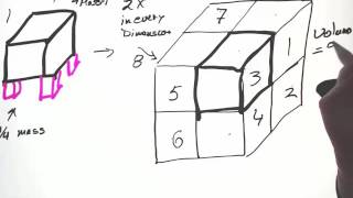 Structure and Function Allometry and Scaling [upl. by Nulubez]