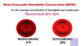 How to read Blood report CBC Interpretation of complete blood count Part 1Red Blood cellMBS [upl. by Sherilyn]