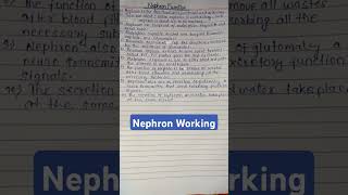 Nephron Working 10 Lines nephron nephronworking mintossmood [upl. by Baiel877]