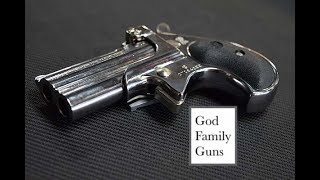 Top 10 Things You Didnt Know About The Derringer [upl. by Enneles716]