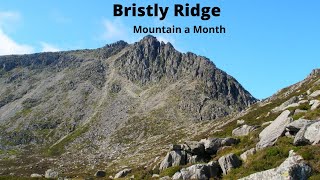 Bristly Ridge via sinister gully [upl. by Brecher]