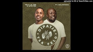 Dipatje Tsa Felo feat Daliwonga [upl. by Ahsenre843]