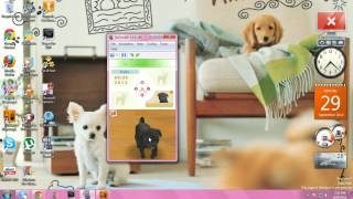 Nintendogs On Computer [upl. by Solhcin]