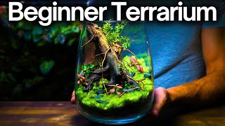 How To Make a Terrarium  Beginner Friendly Tutorial [upl. by Monreal542]