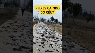 Chuvas de peixe Milagre Divino ou mistério da natureza peixes deus profecia milagres [upl. by Noswal332]