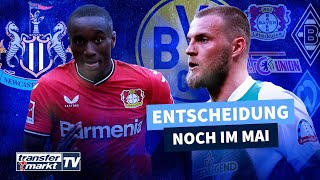 Newcastle will Diaby  Nach BVBGerücht DuckschEntscheidung naht  TRANSFERMARKT [upl. by Kenay666]