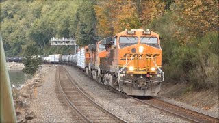 BNSF trains in north Seattle fall mix 2021 [upl. by Arahsak945]