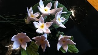 How to Make a Gum Paste Stephanotis [upl. by Powel]