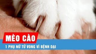 Bà Rịa – Vũng Tàu 1 phụ nữ tử vong vì bệnh dại do mèo cào [upl. by Tsew]