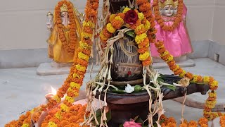 श्री शिव पंचाक्षर स्तोत्रशिवास्टकमShiv Stuti  Nagendra haraya [upl. by Stella]