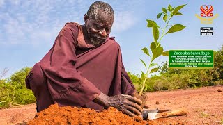 1875 GPGW Yacouba Sawadogo Transforming Desert into Forests amp Farmland [upl. by Ahsema]