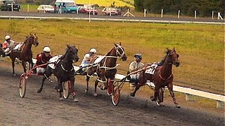 AMMAN VALLEY HARNESS RACES 392000 GRADE A HEAT 2 [upl. by Heinrike81]