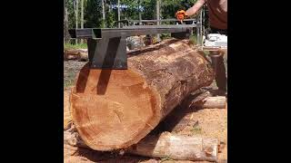 Chainsaw Mill Setup amp 1st Cut [upl. by Willamina447]