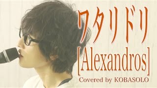 【Acoustic ver】ワタリドリ AlexandrosCovered by コバソロ 歌詞付き [upl. by Sirahs]