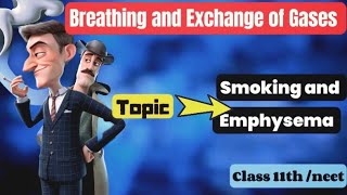 Breathing and exchange of gases Class 11th Biology neet cbse ncert [upl. by Amaryllis895]