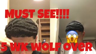 360 straight hair waves5 week wolf transformation [upl. by Dever720]