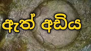 nidan salaku නිධන් සලකුනු ඇත් අඩිය [upl. by Ynohtnacram]